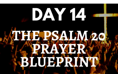 The Psalm 20 Prayer Blueprint